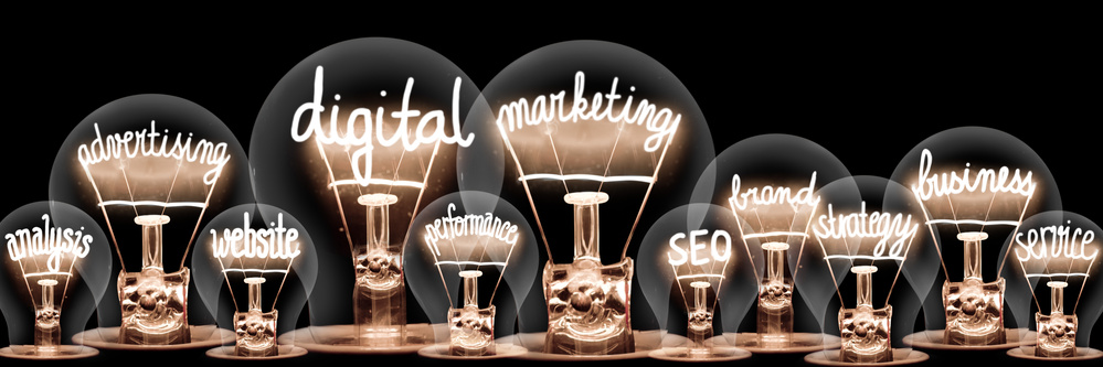 Forget Going Solo, Digital Marketing in 2025 Is a Team Effort